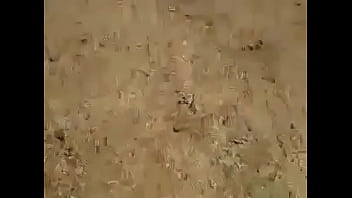Desi Bhabhi’s Wild Ride: Deep Throat Blowjob And Rough Doggy Fuck On A Motorbike