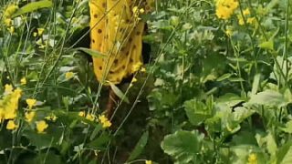 Horny Husband Fucks His Wife Hard In The Mustard Field, Outdoor Moaning In Hindi