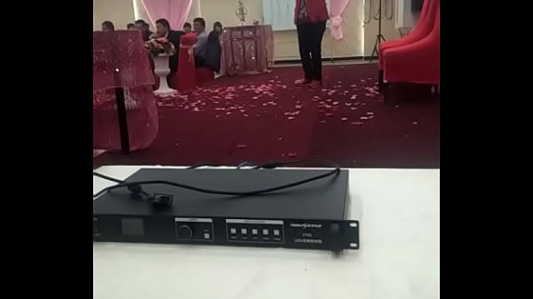Chinese Cougar