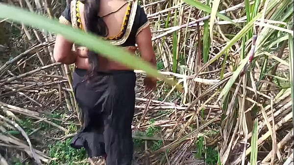 Pyaasi Desi Aunty Ki Ganne Ke Khet Mein Khuli Chudai