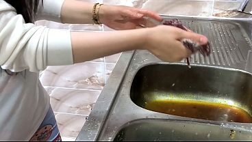 كفيل سعودي ينيك الخادمة المصرية بشهوة في غياب زوجته